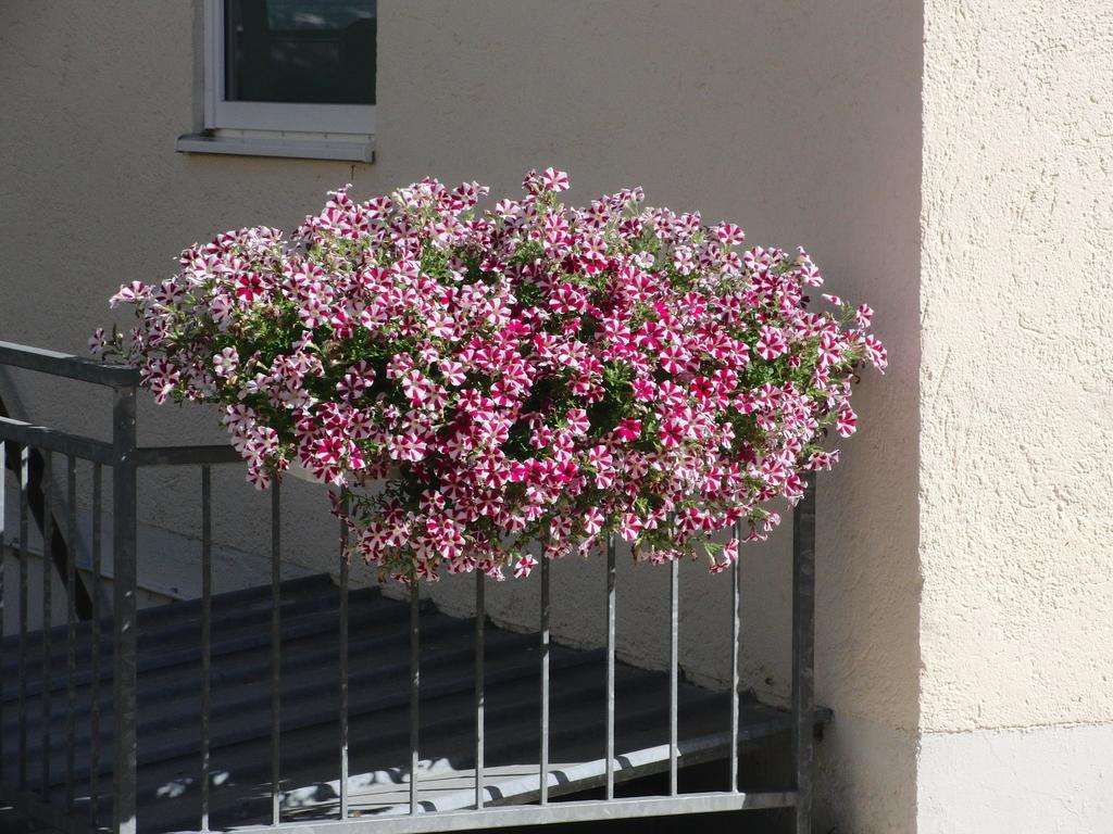 Hotel Haus Hildegard Bad Füssing Esterno foto